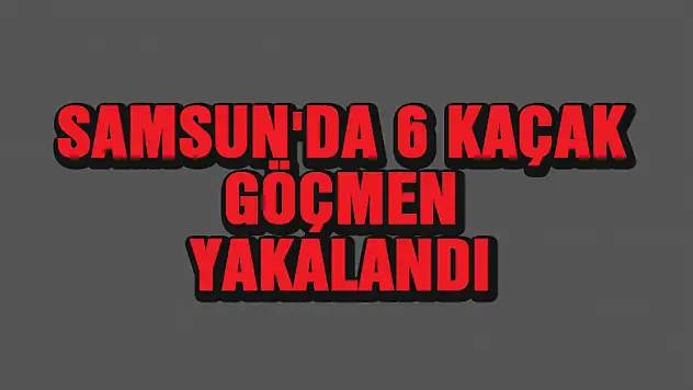 Samsun'da 6 kaçak göçmen yakalandı
