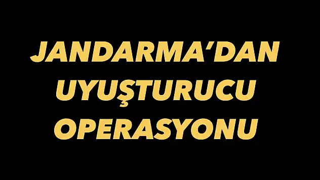 Jandarma'dan uyuşturucu operasyonu