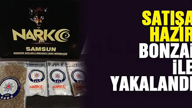 Samsun'da satışa hazır bonzai ile yakalanan bir kişi gözaltına alındı