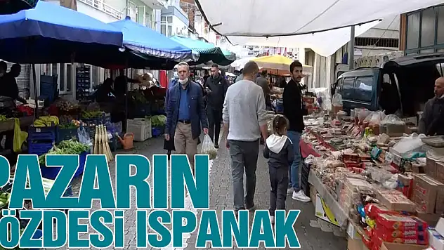 PAZARIN GÖZDESİ ISPANAK