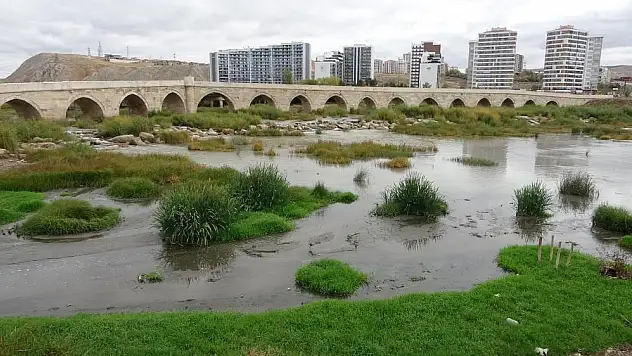 Kızılırmak otlağa dönüştü