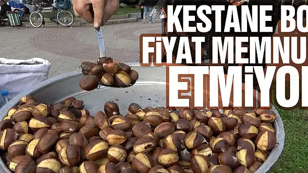 KESTANE BOL, FİYAT MEMNUN ETMİYOR