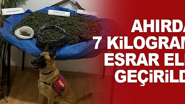 Ahırda 7 Kilogram Esrar Ele Geçirildi