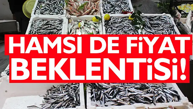 Hamsi de fiyat beklentisi!