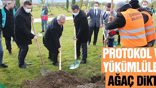 Protokol ve yükümlüler ağaç dikti
