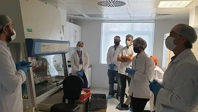 OMÜ'de kök hücre temel uygulama eğitimi