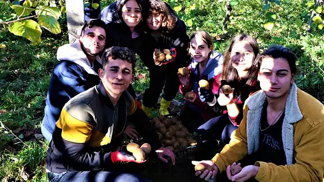 OMÜ'de uygulamalı eğitimde hasat zamanı