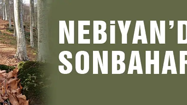 Nebiyan'da sonbahar güzelliği