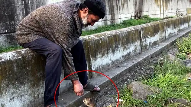 Kimsesiz adam ile farenin dostluğu: Ekmeğini fareyle paylaşıyor