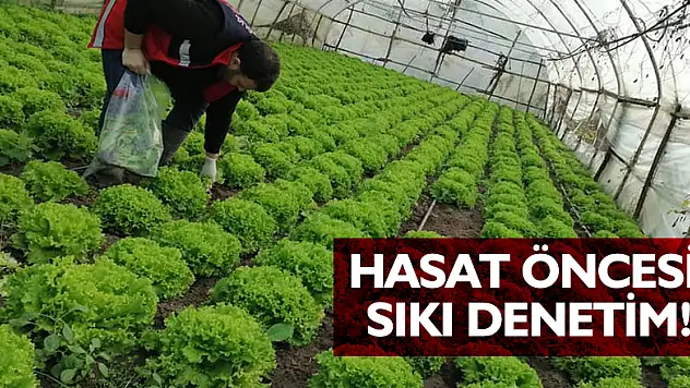 Hasat öncesi sıkı denetim!