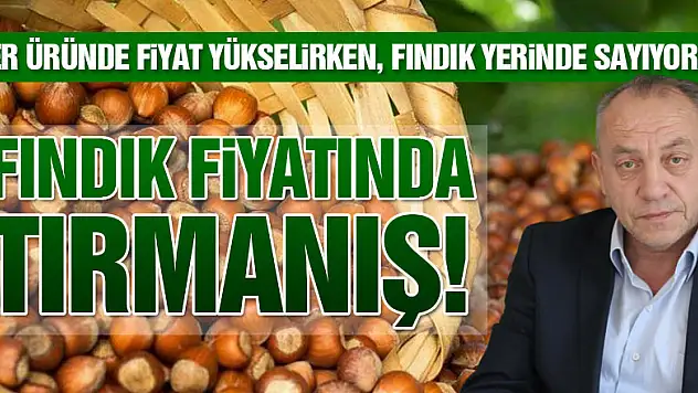 FINDIKTA TIRMANIŞ BAŞLADI