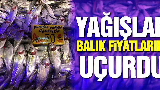 Yağışlar balık fiyatlarını uçurdu