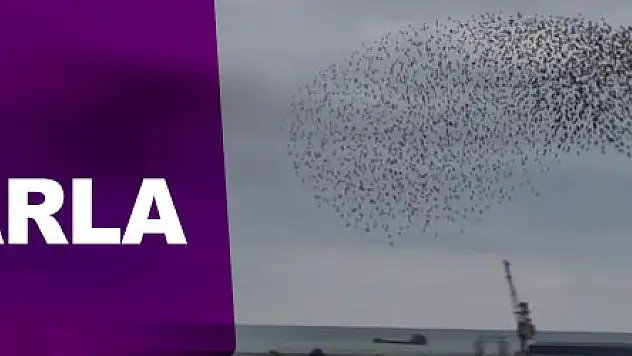 Samsun semaları sığırcıklarla şenlendi