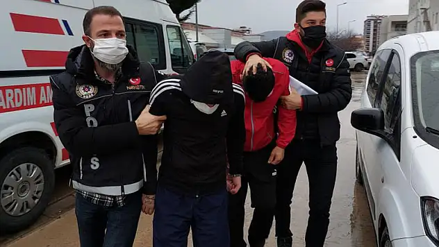 Samsun'da 4 kilo bonzai ele geçirildi: 4 gözaltı
