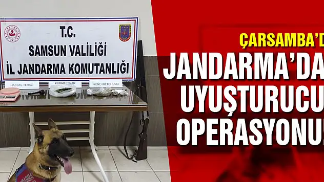 Jandarma'dan uyuşturucu operasyonu!