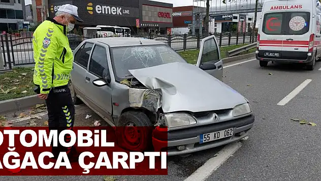 Samsun'da otomobil ağaca çarptı: 2 yaralı
