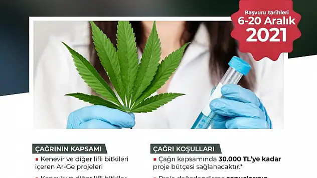 Kenevir için proje çağrısı