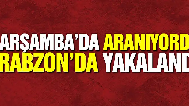 Trabzon'da düzenlenen uyuşturucu operasyonunda 2 kişi yakalandı