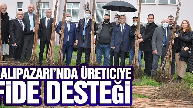 Salıpazarı'nda Üreticiye Fide Desteği