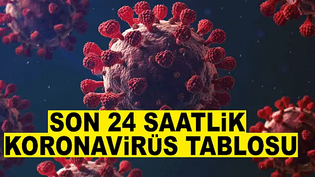Son 24 saatte korona virüsten 182 kişi hayatını kaybetti