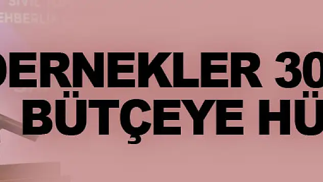 Dernekler 30 milyar TL bütçeye hükmediyor!