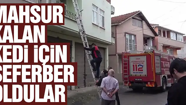 Mahsur kalan kedi için polis ve itfaiye ekipleri seferber oldu