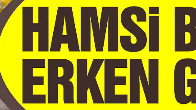 Hamsi bu sene erken göç etti