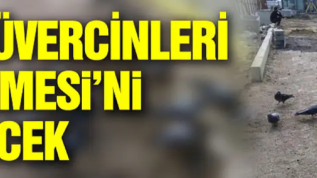 Subaşı'nın güvercinleri Hamidiye Çeşmesi'ni güzelleştirecek