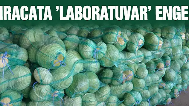 İhracata 'laboratuvar' engeli