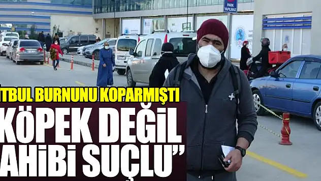 Pitbullun burnunu kopardığı vatandaş: 'Köpek değil sahibi suçlu'
