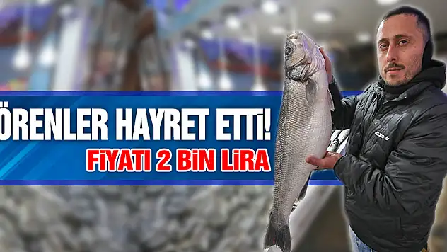 Görenler hayret etti!