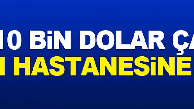 Bankadan 10 bin dolar çalan kadın ruh sağlığı hastanesine sevk edildi