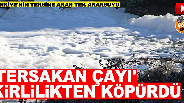 Türkiye'nin tersine akan tek akarsuyu olan 'Tersakan Çayı' kirlilikten köpürdü
