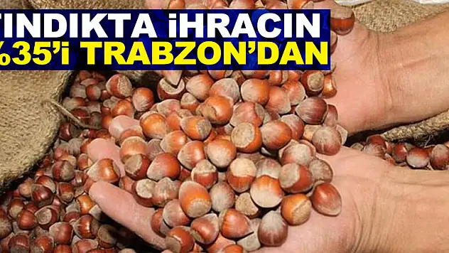 Fındıkta ihracın %35'i Trabzon'dan