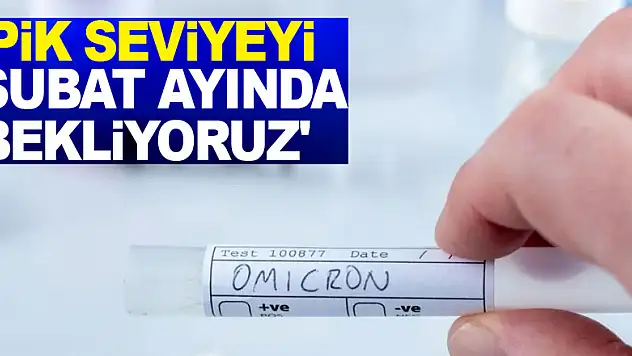 Bilim Kurulu Üyesi Şener açıkladı: 'Omicron varyantında pik seviyeyi Şubat ayında bekliyoruz'