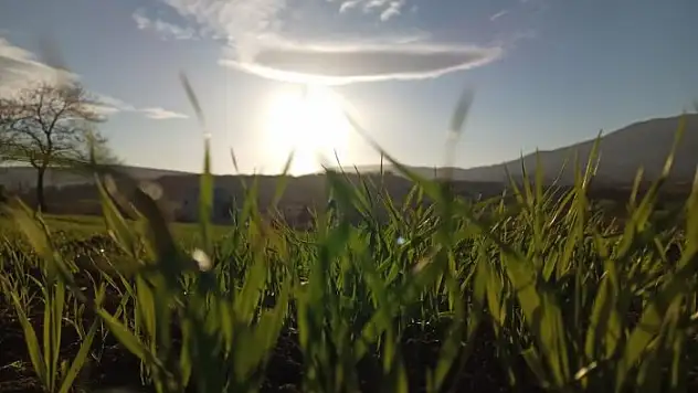 'Tarımsal sanayimizi katma değeri yüksek üretim yapan içeriğe kavuşturmalıyız'