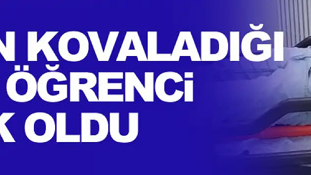Köpeklerin kovaladığı üniversite öğrencisi duvardan atladı, hastanelik oldu