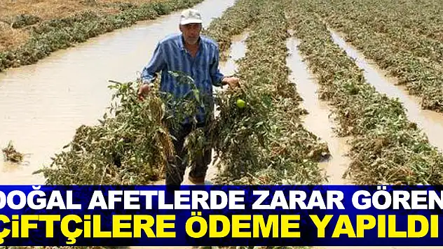 Karadeniz'de doğal afetlerde zarar gören çiftçilere 50 milyon lira ödeme yapıldı