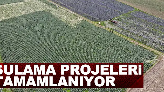 Bafra ve Çarşamba Ovalarını sulayacak projeler tamamlanıyor