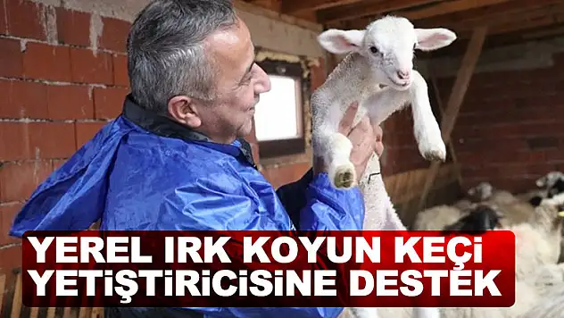 Samsun'da yerel ırk koyun keçi yetiştiricisine destek