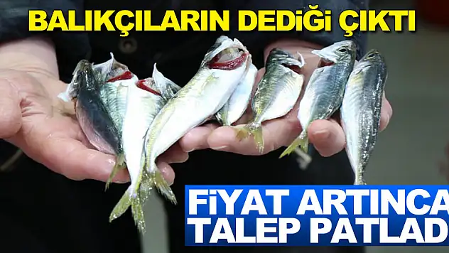 Balıkçıların dediği çıktı: Fiyat artınca talep patladı