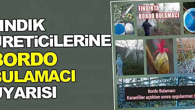 Fındık Üreticilerine Bordo Bulamacı Uyarısı