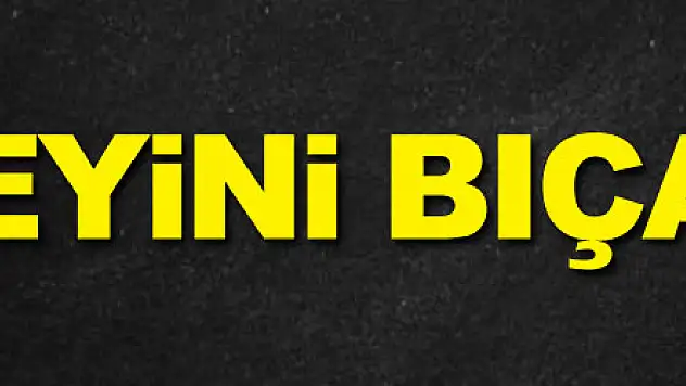 Ağabeyini bıçakladı