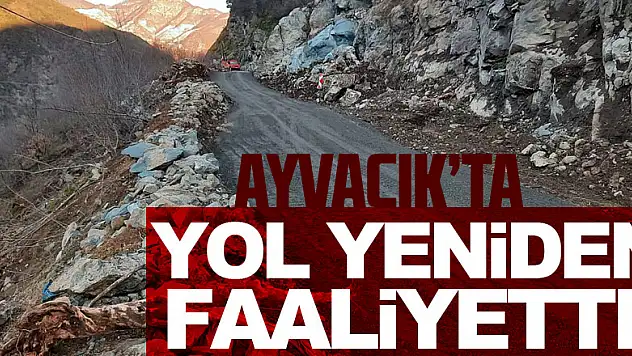 YOL YENİDEN FAALİYETTE