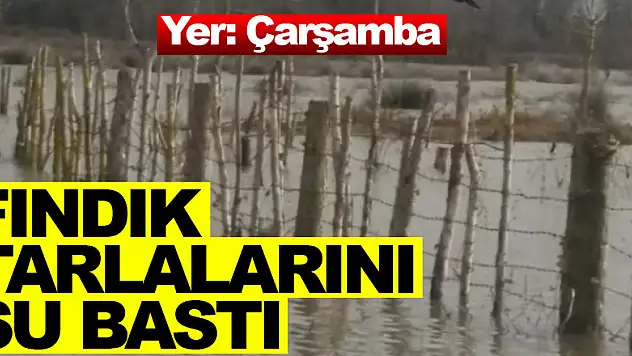 FINDIK TARLALARINI SU BASTI