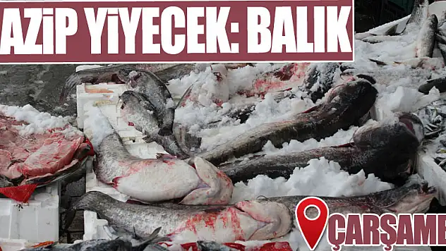 CAZİP YİYECEK: BALIK