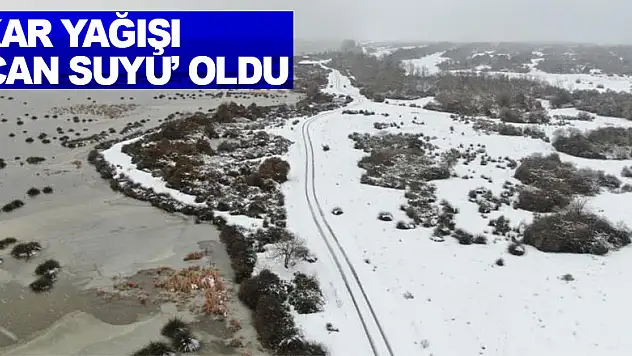Kar yağışı sulak alanlara ve barajlara 'can suyu' oldu