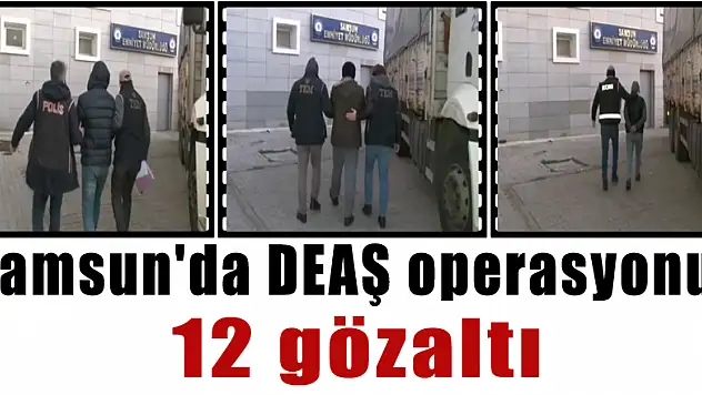 Samsun'da DEAŞ operasyonu: 12 gözaltı