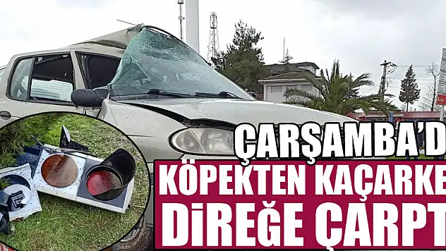 KÖPEKTEN KAÇARKEN DİREĞE ÇARPTI