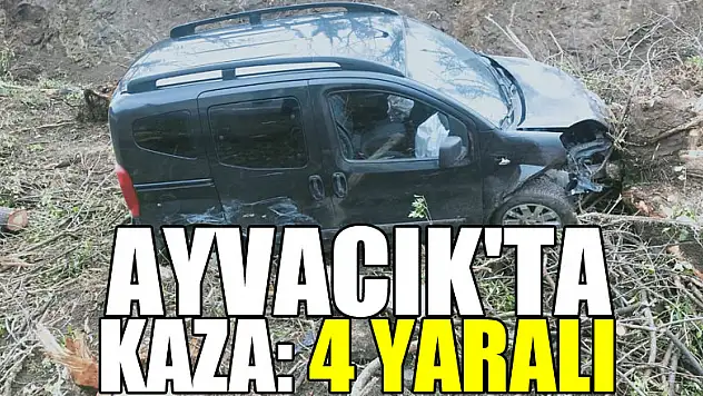 AYVACIK'TA KAZA: 4 YARALI